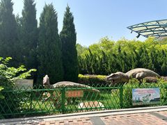 -泰达航母主题公园