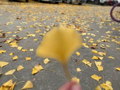 -广式烧鹅饭(太仓万达店)