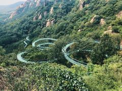 -许慎文化园