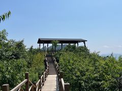 -大岭沟猕猴桃谷风景区
