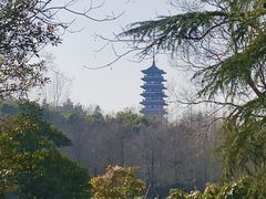 -宜兴龙背山森林公园