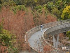 -福道