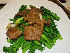 -广东道至正餐厅(区庄店)