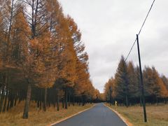 -塞罕坝国家级自然保护区