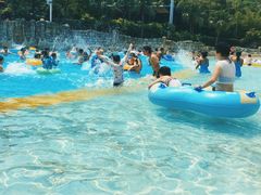 -重庆海昌加勒比海水世界