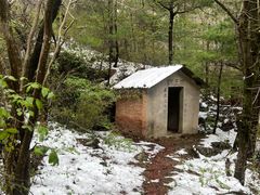 -青峰峡国家森林公园