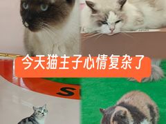 -福田卓悦INTOWN购物中心