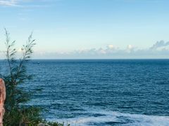 -广东惠东海龟国家级自然保护区