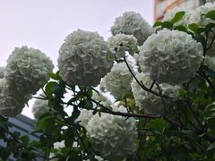 -郑和公园