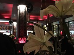 -花马天堂云南餐厅 Lost Heaven(外滩店)