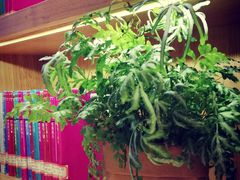 -艾溪湖湿地公园