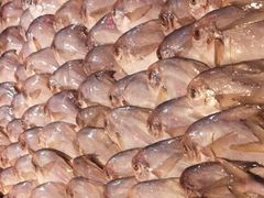 -永辉超市(萧山宝龙广场店)