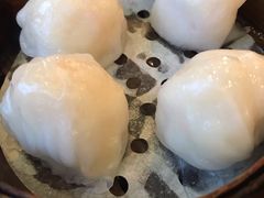 添运来虾饺皇-添运来(茶园奥园广场店)