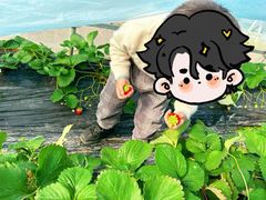 -辫豆HABA儿童馆·创意早教逻辑思维专注力(银泰中心店)