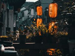 -秋霞圃