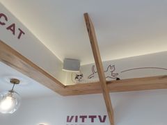 -喵园·猫主题咖啡厅·撸猫·猫咖(国贸店)