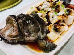 清蒸石斑鱼-金时代顺风大酒店(协泰店)