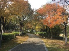 -白塘生态植物园