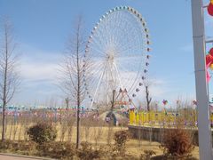 -凤凰欢乐大世界