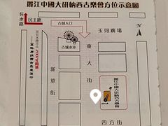 -宣科纳西古乐·非遗音乐(大水车店)