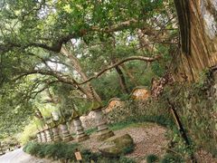 -天台山景区