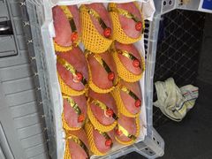 -西郊国际农产品交易中心