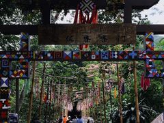 -西双版纳原始森林公园