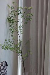 -ARC弧线沙龙