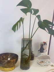 -美肤盾祛痘·问题肌头疗管理中心