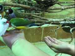 -萌宠奇缘