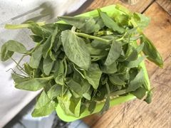 -钰洁腊排骨火锅