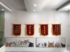-爱侣宠医·鹦鹉专科·小型哺乳类·异宠专科(灵石路店)