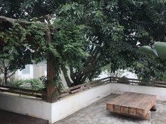 -悦哉·派对·草坪婚礼·围炉煮茶(三圣乡店)