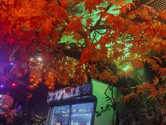 -醉小酒馆·川菜·江湖菜·重庆菜(观音桥旗舰店)