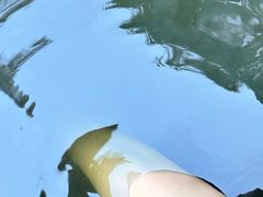 -中铁花水湾温泉酒店(大邑店)