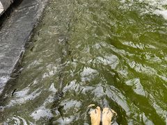 -九号温泉生活馆