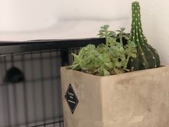 -颐玖 咖啡|甜品