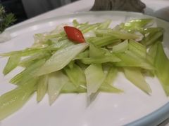 -丁老爷子苏香圆