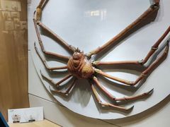-青岛海底世界-水族馆