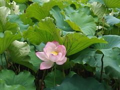-丝绸小镇荻港古村