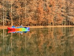 -上海海湾国家森林公园