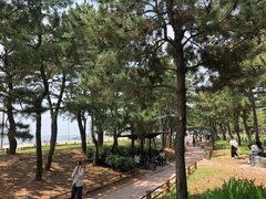 -海云台海滩