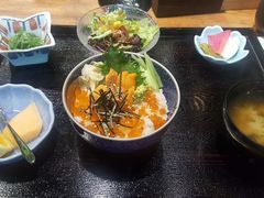 三文鱼籽海胆饭套餐-森味薪火烧•烧鸟居酒屋•日本料理(望京店)