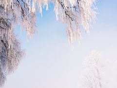 -雾凇岛