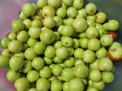 -詹记桃酥(北城世纪金源店)