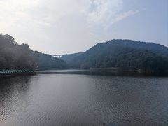 -黔灵山公园