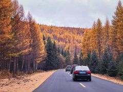 -塞罕坝国家级自然保护区