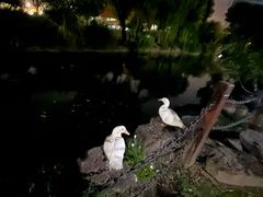 -蜜雪冰城(国权路地铁口店)