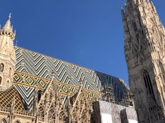-斯蒂芬主教座堂(Stephansdom)