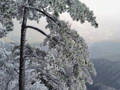 -萍乡武功山风景名胜区